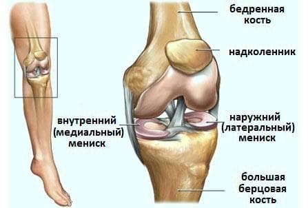 Разрыв мениска коленного сустава: симптомы, лечение, реабилитация
